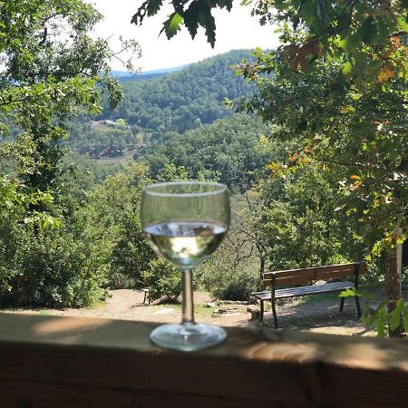 Safaritent Glamping Orlando In Chianti Cavriglia Buitenkant foto